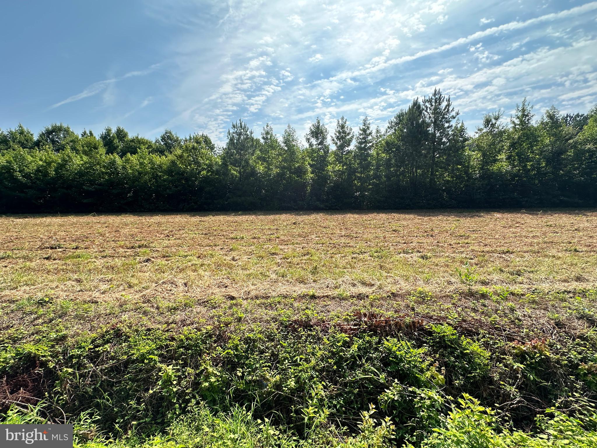 0 Whites Road Marion Station, MD 21838 - Photo 3 of 5