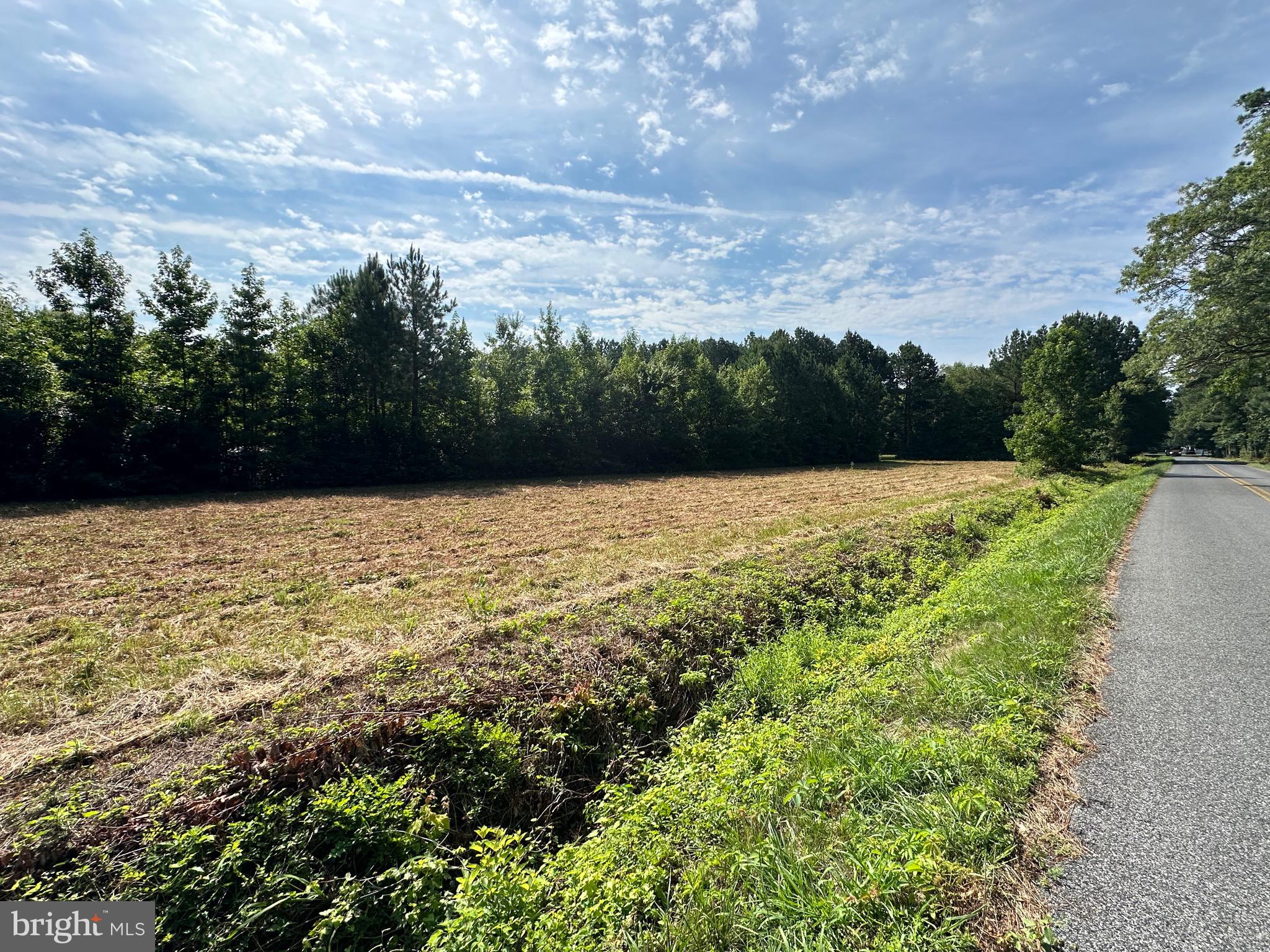 0 Whites Road Marion Station, MD 21838 - Photo 4 of 5