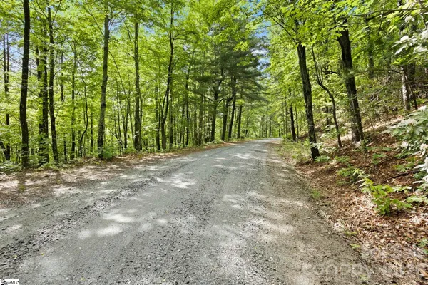 a view of empty room with large trees