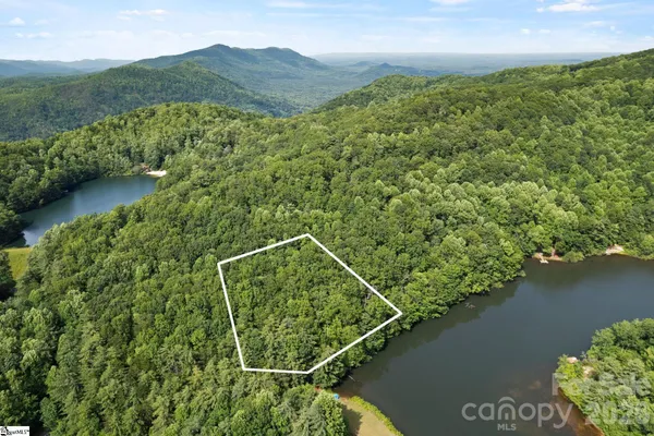 a view of a forest with a lake