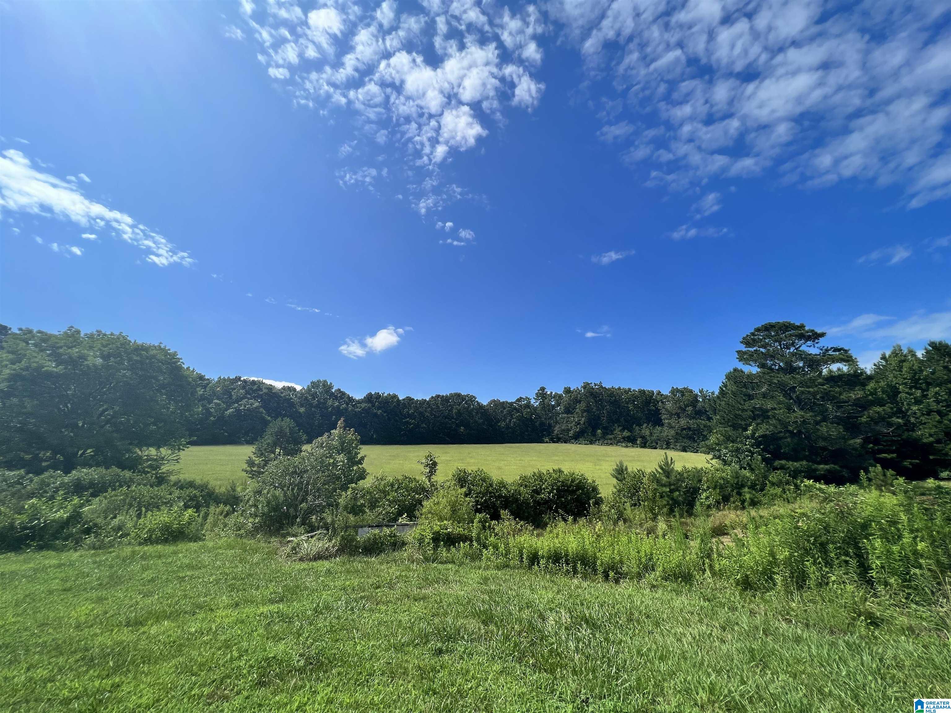 11344 Tabor Road Collinsville, AL 35961 - Photo 2 of 6