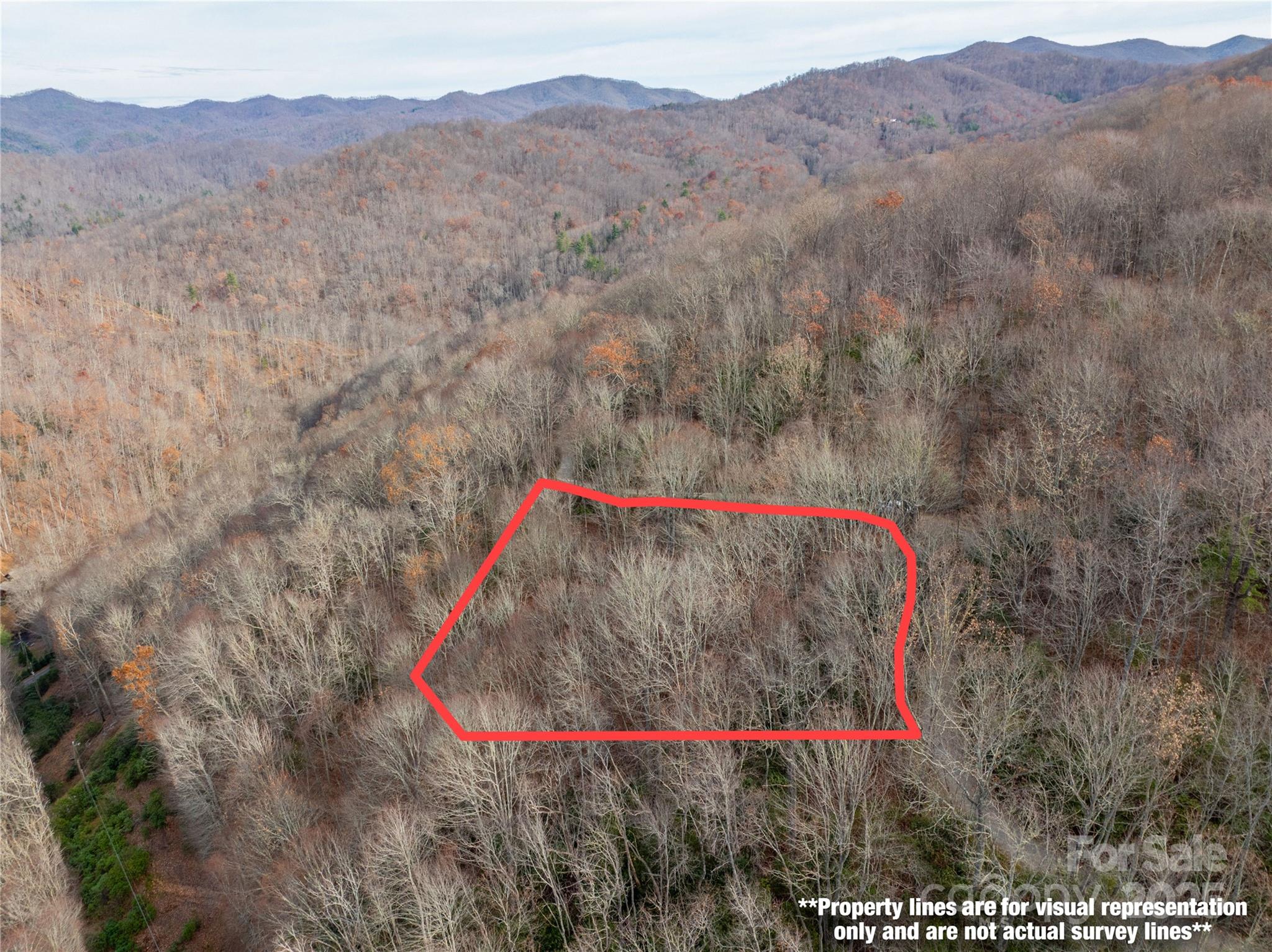 Lot 5 Mt Tabor Road Topton, NC 28781 - Photo 1 of 20