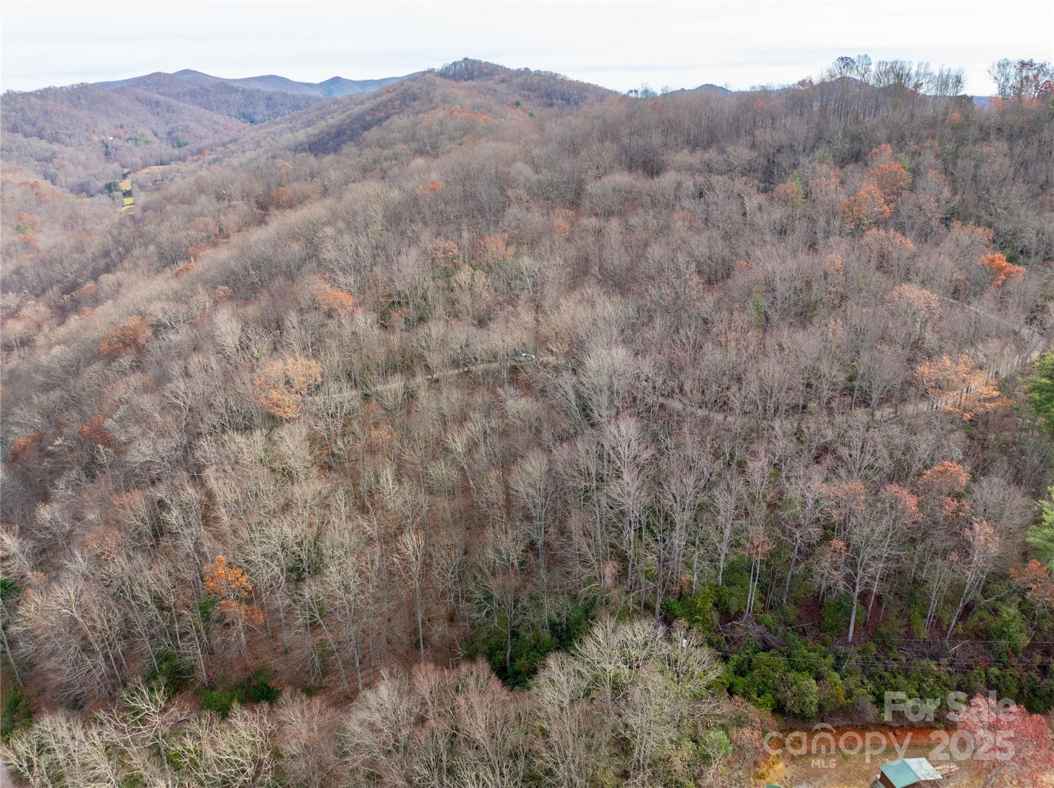 Lot 5 Mt Tabor Road Topton, NC 28781 - Photo 11 of 20 a view of a dry yard with trees in the background