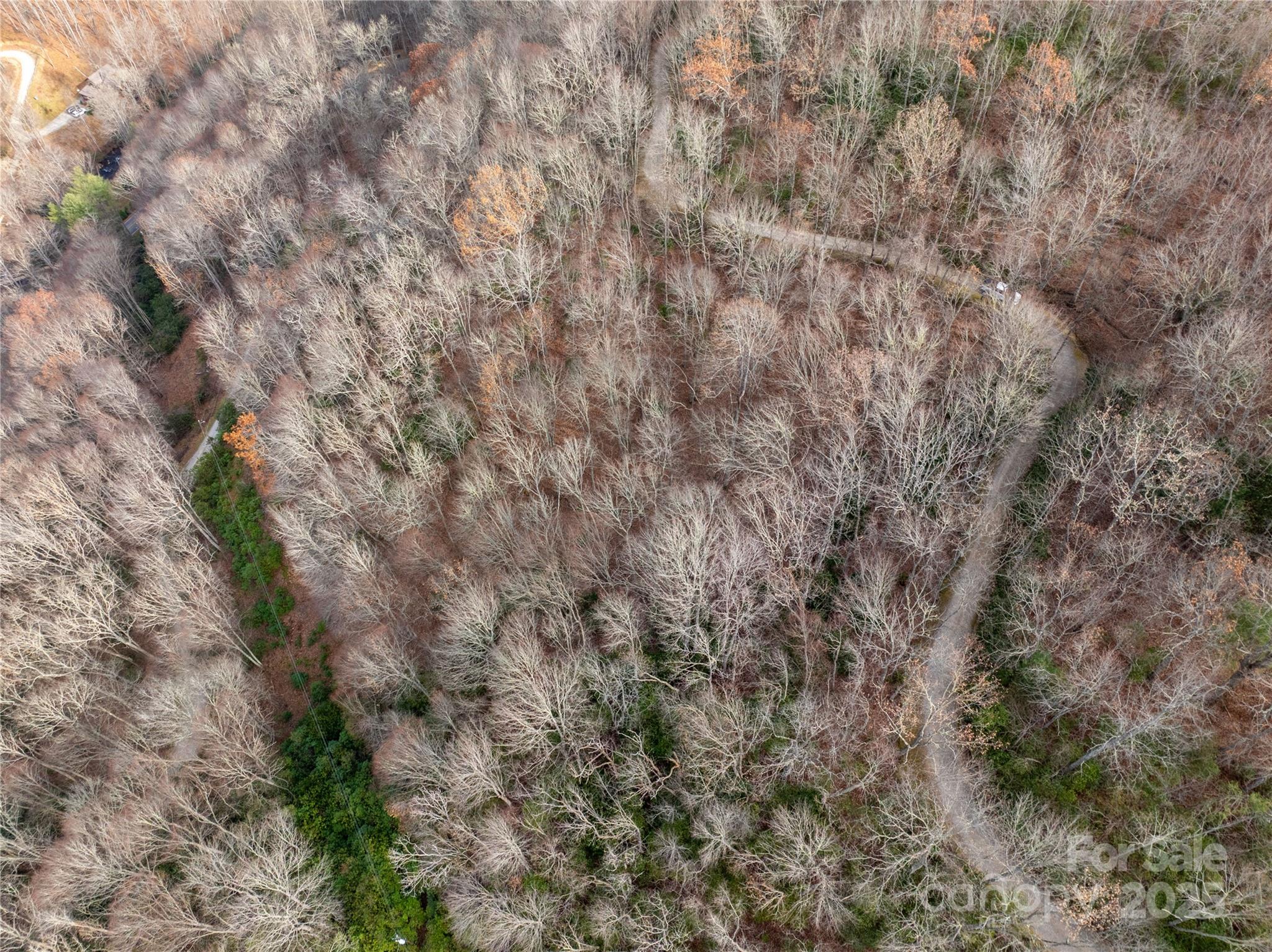 Lot 5 Mt Tabor Road Topton, NC 28781 - Photo 12 of 20