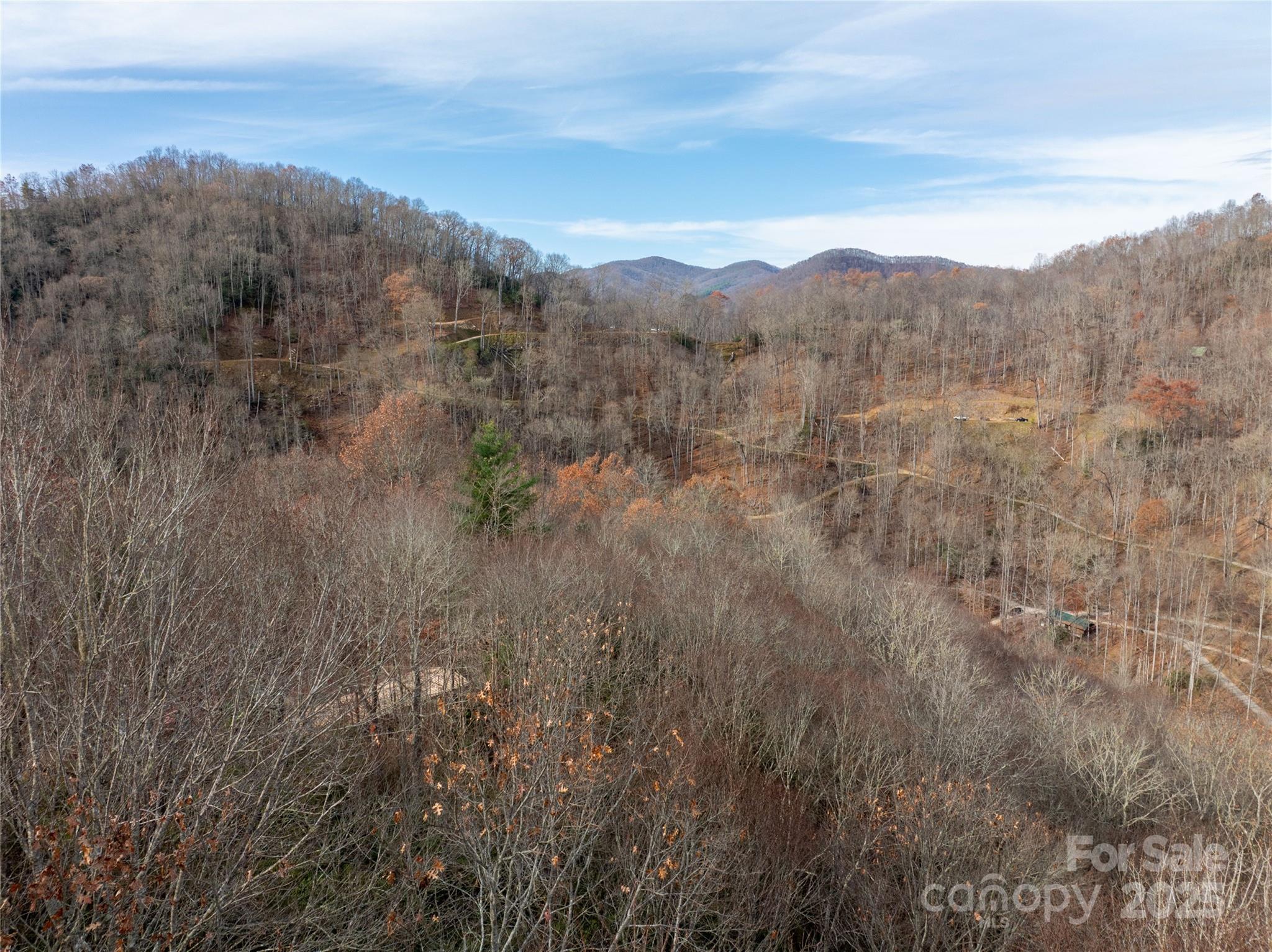 Lot 5 Mt Tabor Road Topton, NC 28781 - Photo 14 of 20 a view of a mountain in the distance in a field