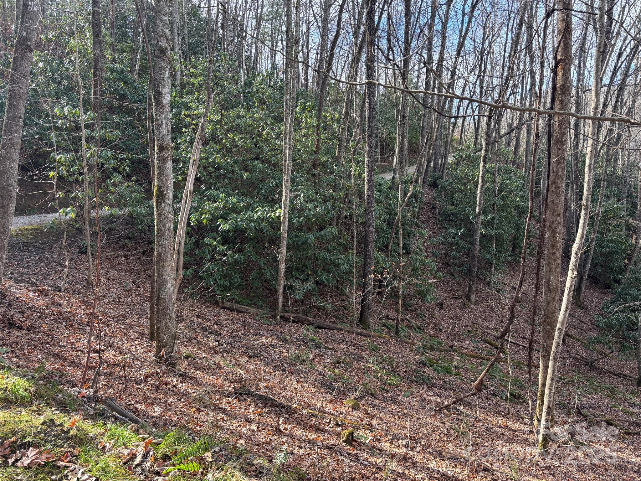 Lot 5 Mt Tabor Road Topton, NC 28781 - Photo 16 of 20 a view of a forest