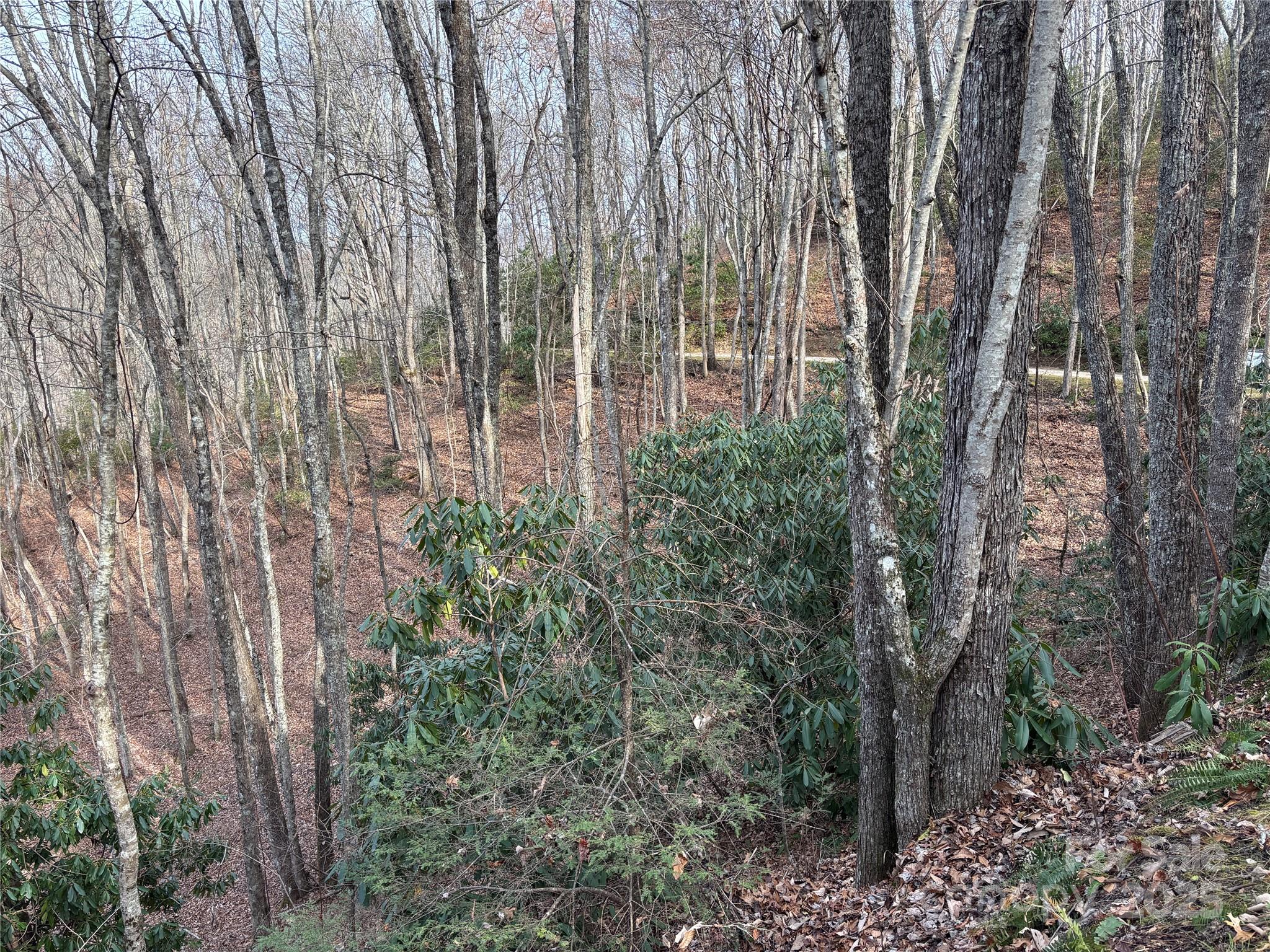Lot 5 Mt Tabor Road Topton, NC 28781 - Photo 17 of 20 a view of a yard with plants and wooden fence