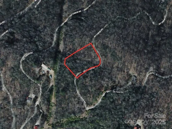 $24,999 | Lot 5 Mt Tabor Road, Topton, NC 28781