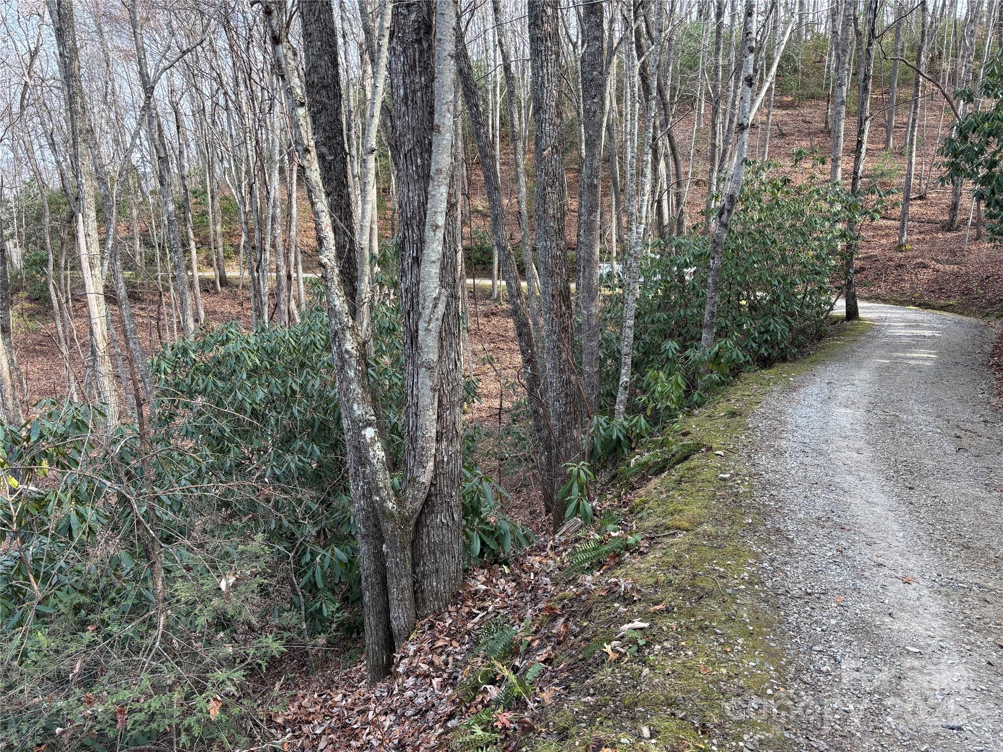 Lot 5 Mt Tabor Road Topton, NC 28781 - Photo 3 of 20 a view of a garden with plants and wooden fence