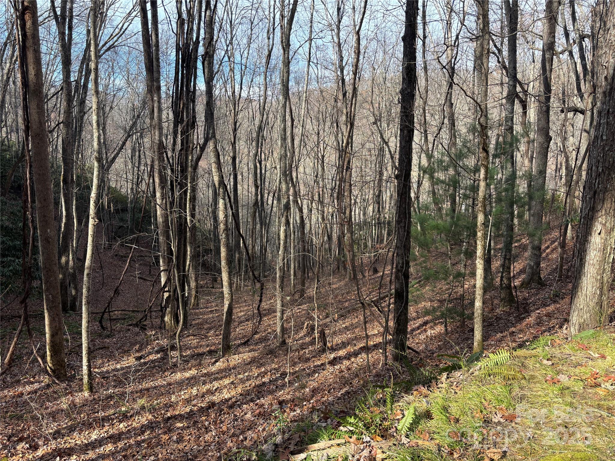 Lot 5 Mt Tabor Road Topton, NC 28781 - Photo 7 of 20 a view of a backyard