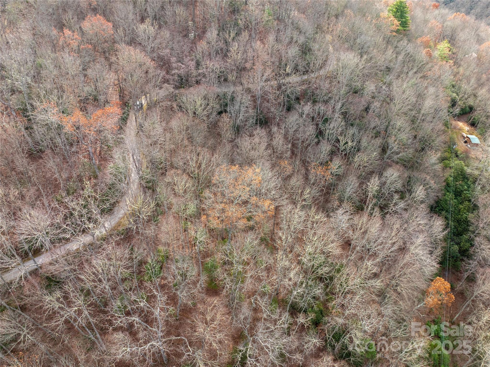 Lot 5 Mt Tabor Road Topton, NC 28781 - Photo 9 of 20 a close up of a field