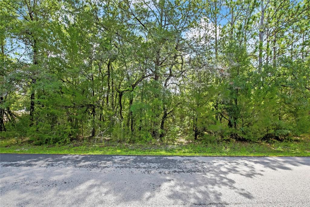 0 English Sparrow Road Weeki Wachee, FL 34614 - Photo 2 of 13 Gallery Image 2