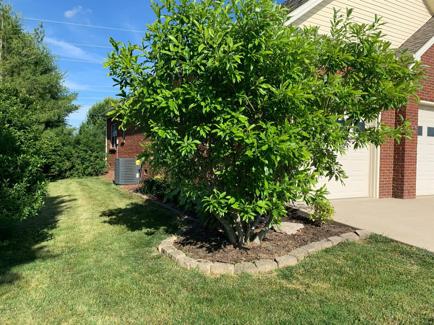 172 Ridgeview Road Danville, KY 40422 - Photo 65 of 68 Photo 65