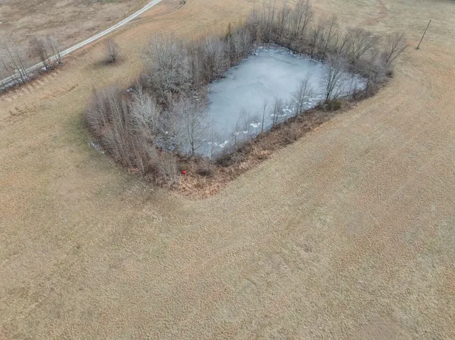 $99,900 | 10 Acres Chisholm Road, Iron City, TN 38463