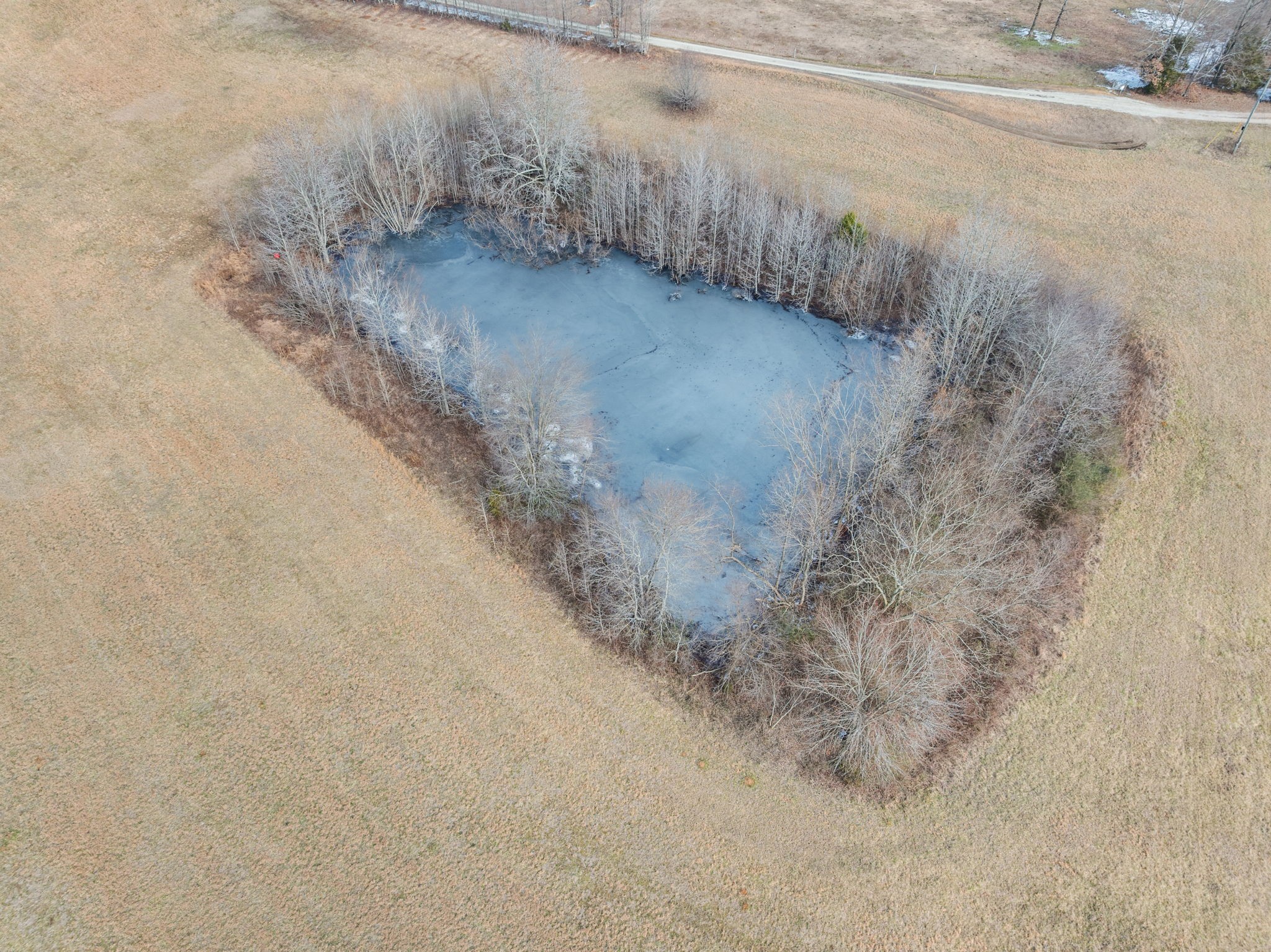 10 Acres Chisholm Road Iron City, TN 38463 - Photo 24 of 25 a view of a dry yard with trees
