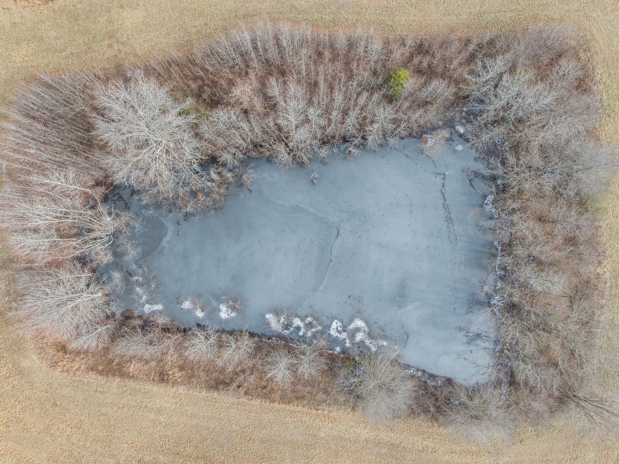 10 Acres Chisholm Road Iron City, TN 38463 - Photo 25 of 25