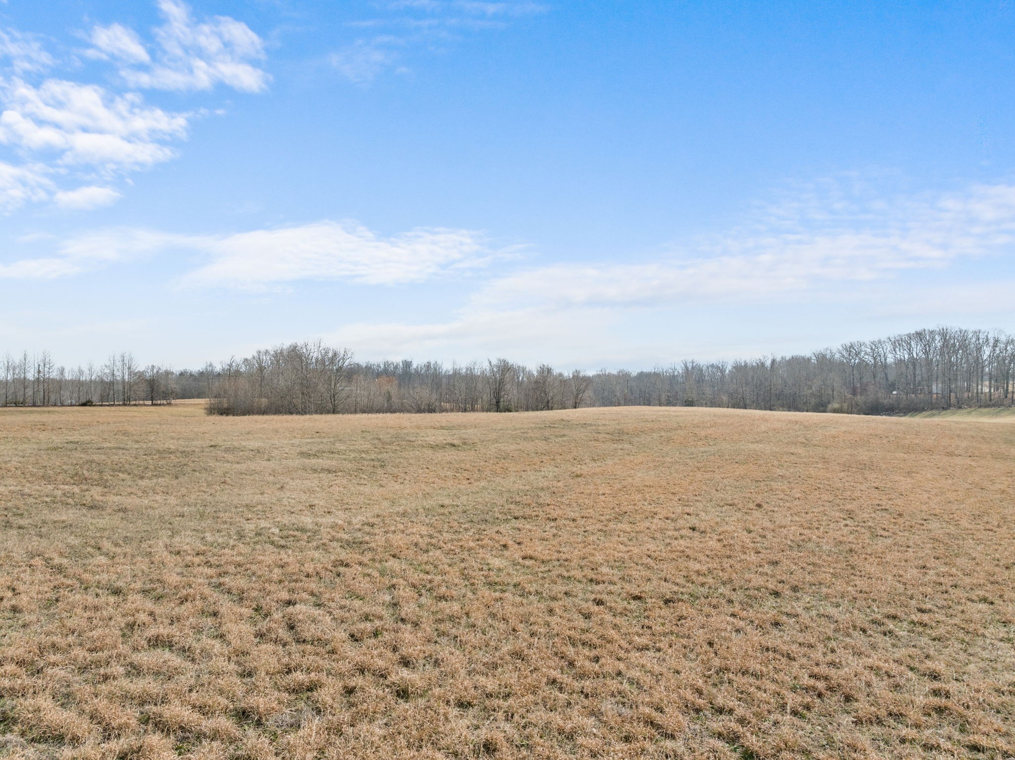 10 Acres Chisholm Road Iron City, TN 38463 - Photo 3 of 25