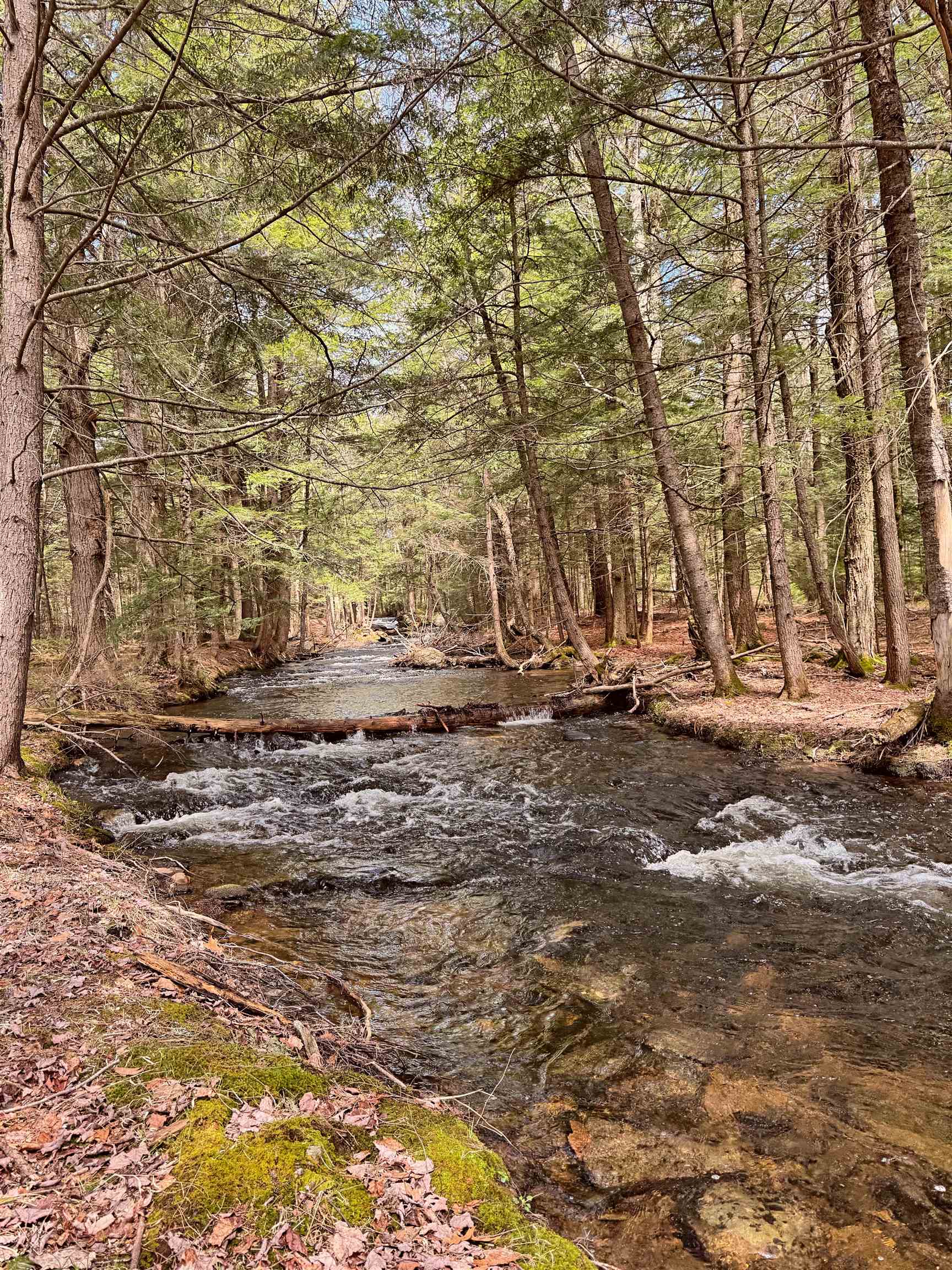 137 Keyes Hollow Road Lempster, NH 03605 - Photo 17 of 19