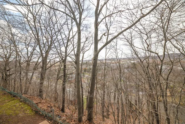 a backyard of a house with lots of green space