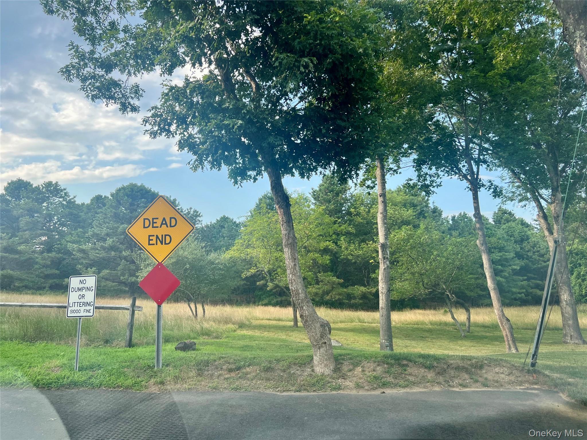 230 Lakeside Trail Ridge, NY 11961 - Photo 21 of 33 a view of street