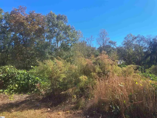 $50,000 | 64 Juneau Court, Greenville, SC 29605