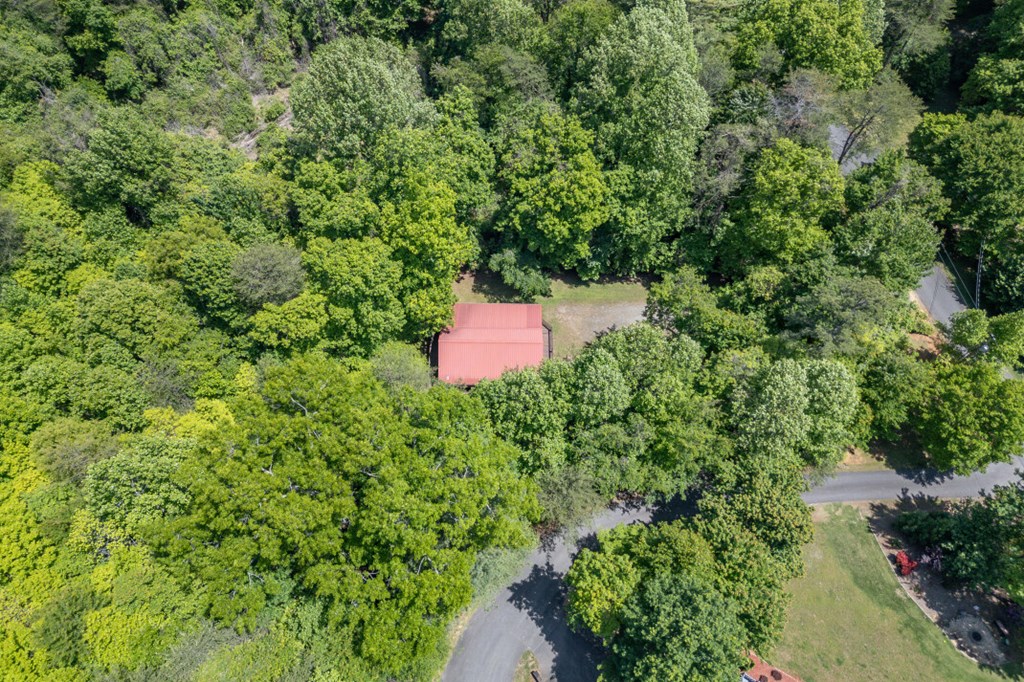 166 Lake Ridge Drive Blue Ridge, GA 30513 - Photo 37 of 45 Gallery Image 37