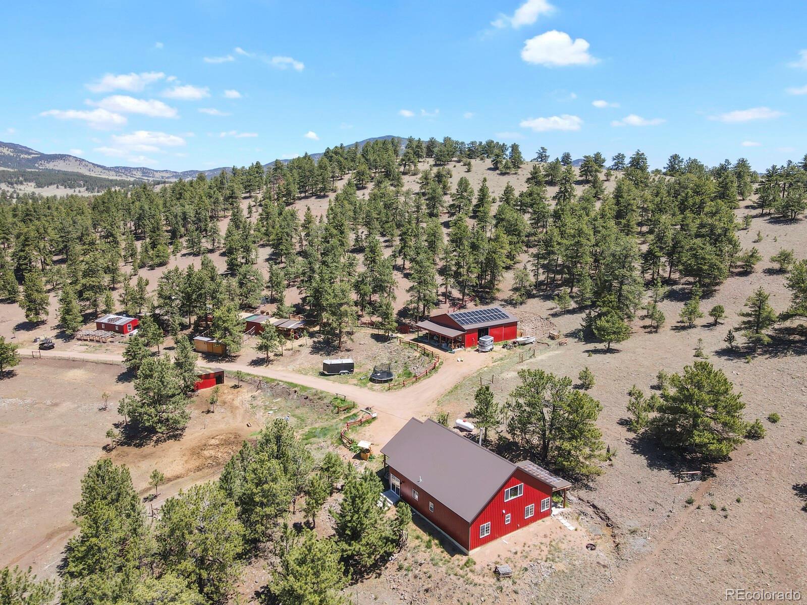 150 Julia Road Guffey, CO 80820 - Photo 3 of 50