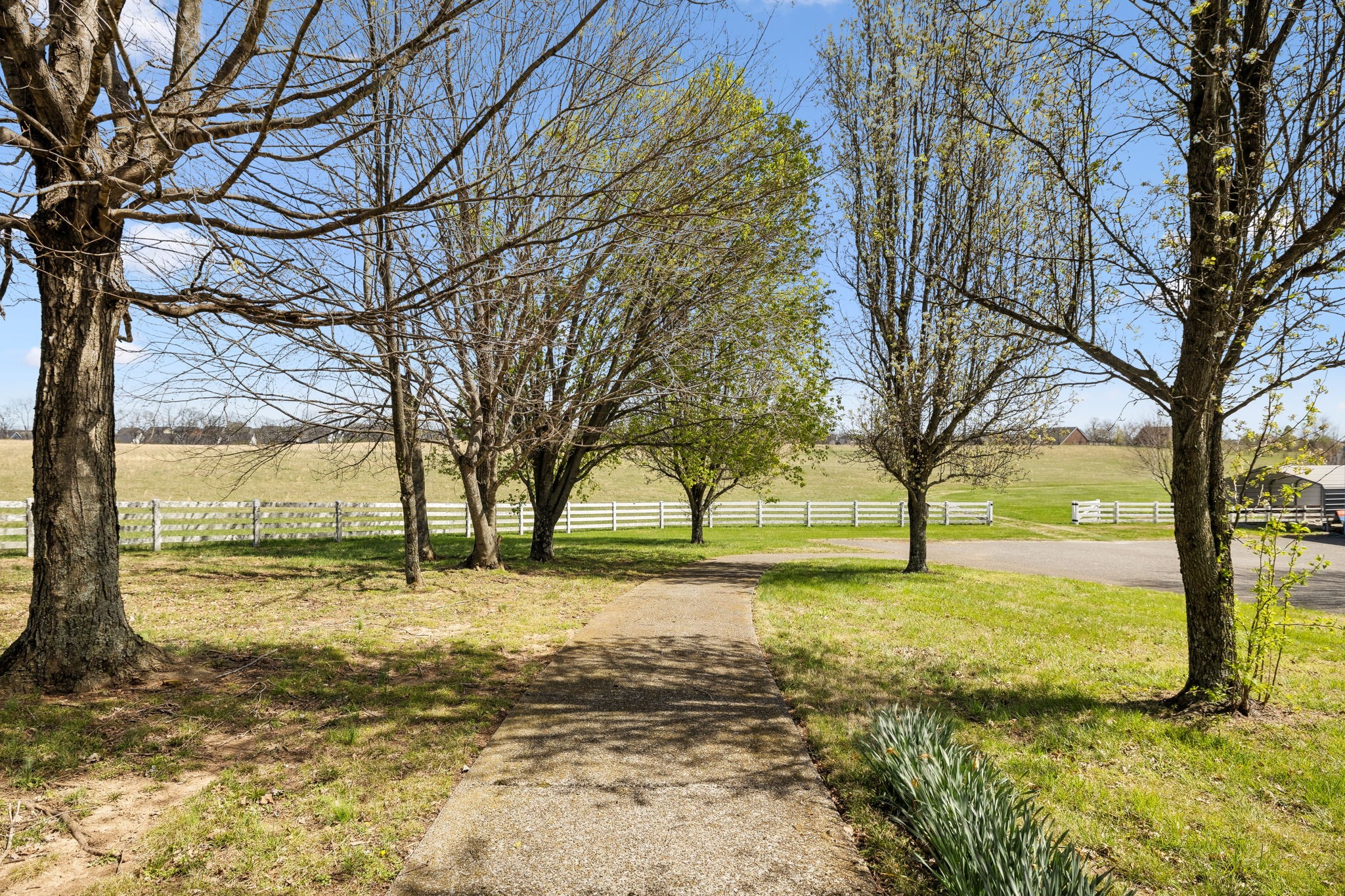 5090 Main Street Spring Hill, TN 37174 - Photo 9 of 91