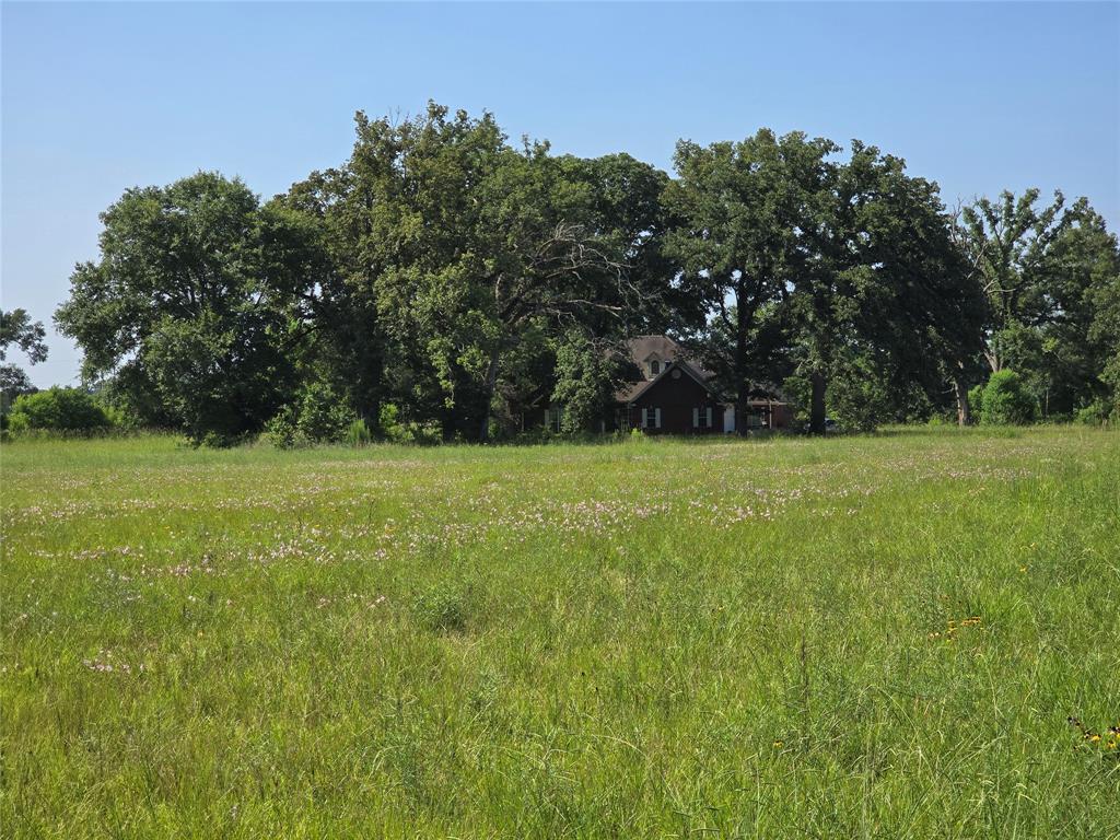 3952 Fm 451 Waskom, TX 75692 - Photo 28 of 31