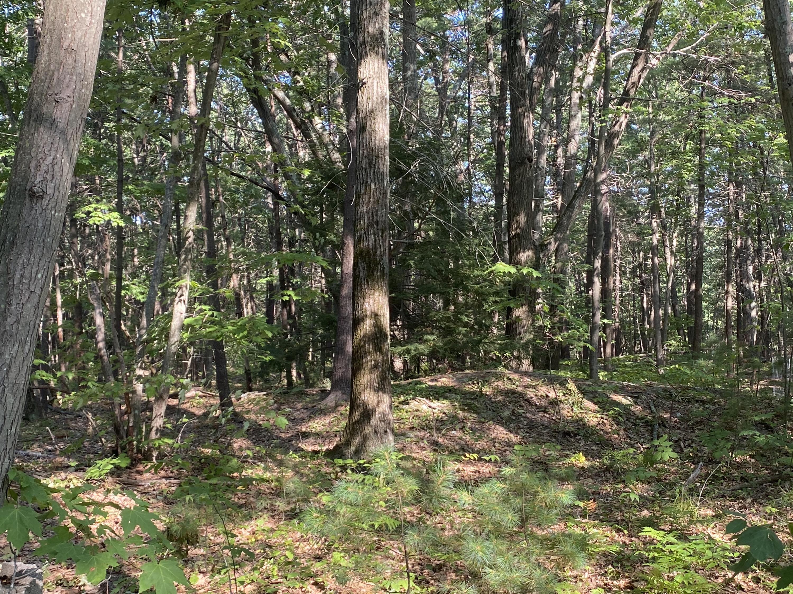 53 A Middle Road Falmouth, ME 04105 - Photo 2 of 3 middle land
