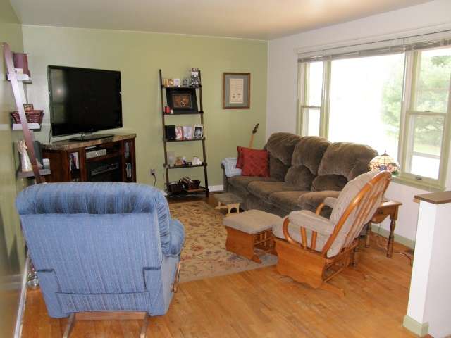 Amman Road Chesaning, MI 48616 - Photo 2 of 14 31097936-1.JPG