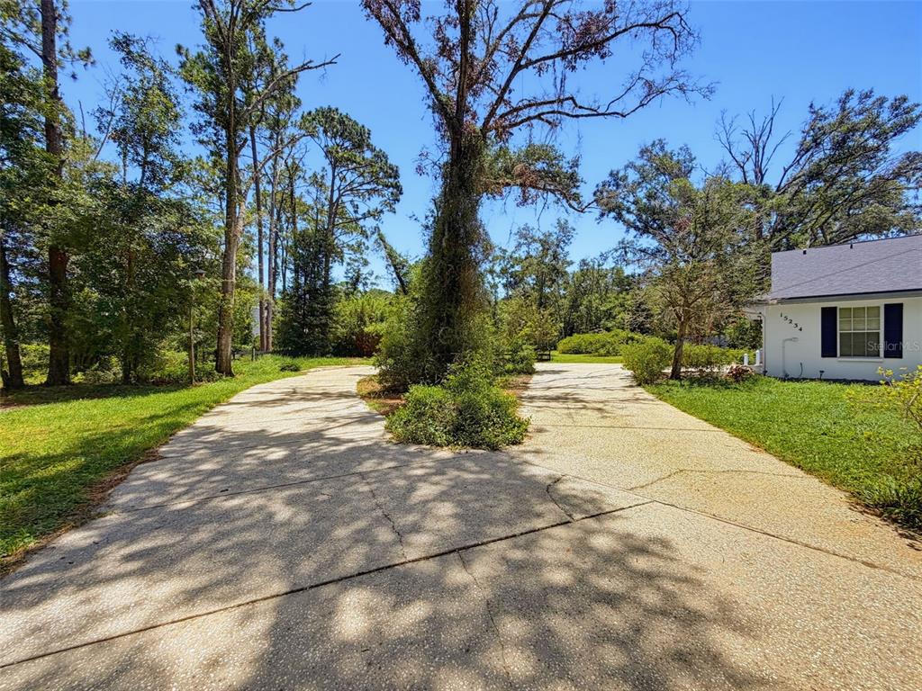15234 Scanio Drive Spring Hill, FL 34610 - Photo 7 of 99