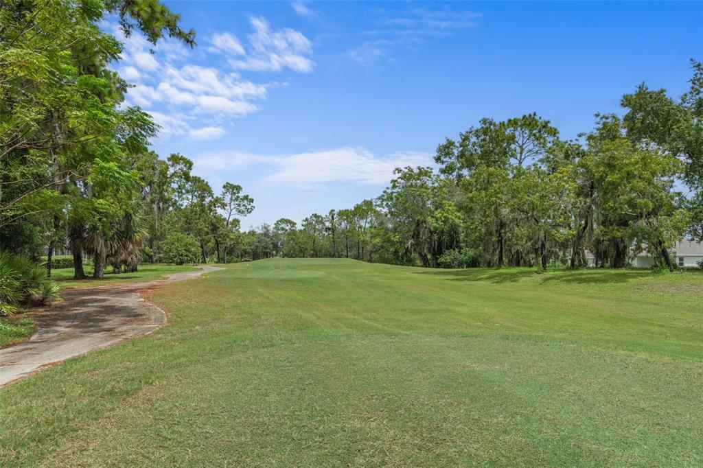 9171 Penelope Drive Weeki Wachee, FL 34613 - Photo 43 of 52