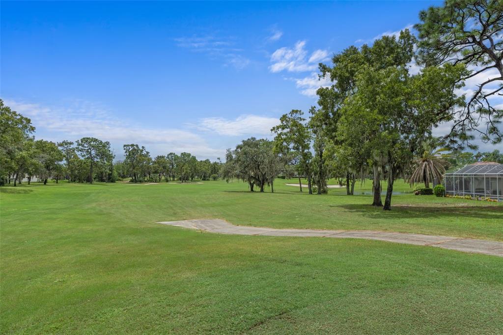 9171 Penelope Drive Weeki Wachee, FL 34613 - Photo 44 of 52