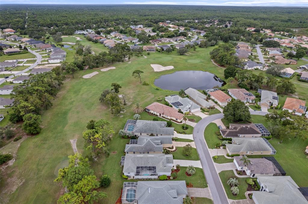 9171 Penelope Drive Weeki Wachee, FL 34613 - Photo 49 of 52