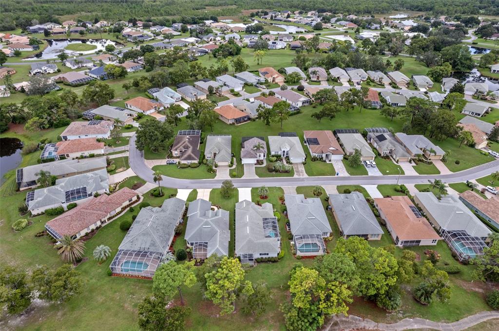 9171 Penelope Drive Weeki Wachee, FL 34613 - Photo 50 of 52