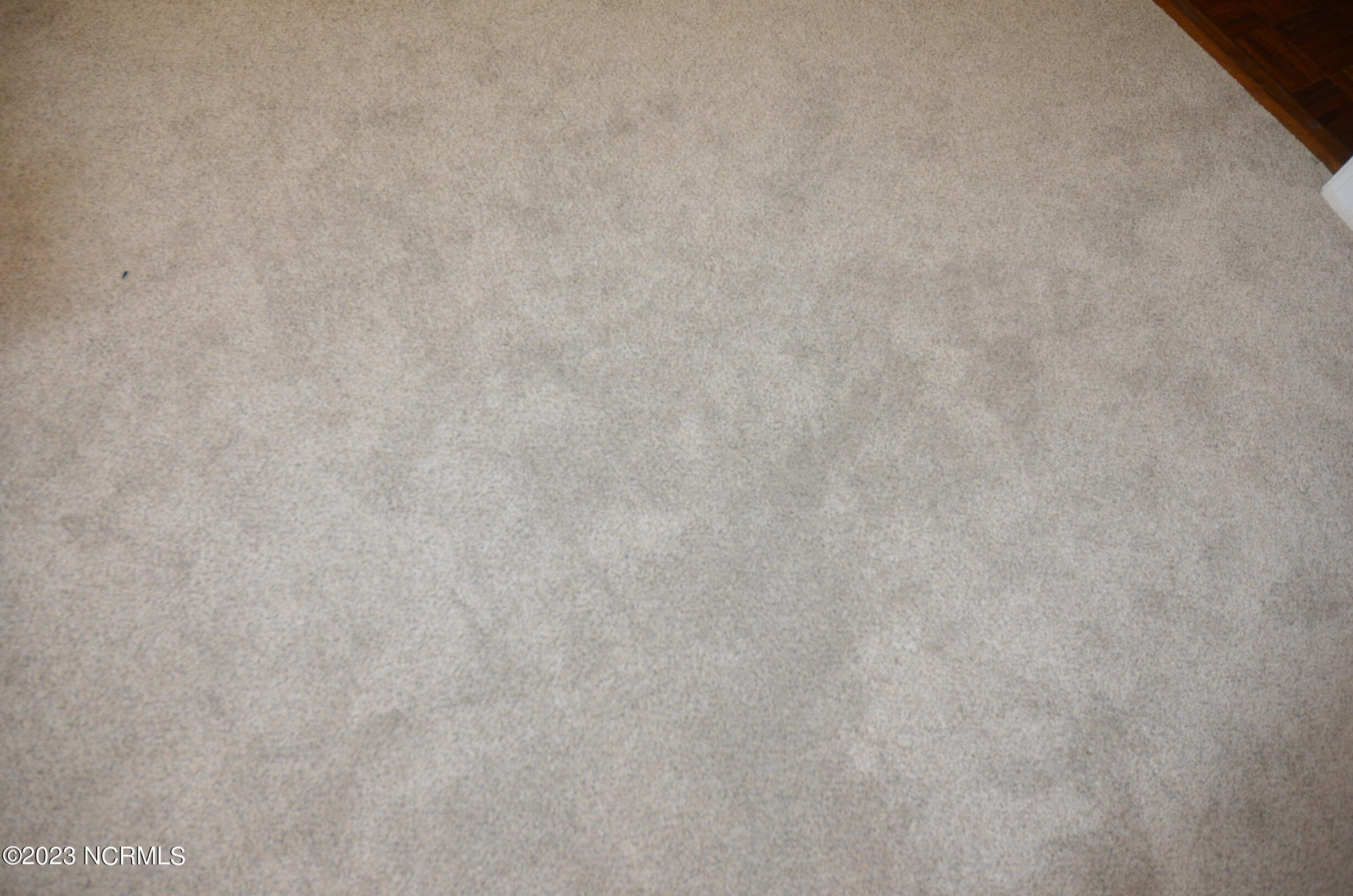 3820 Gloucester Road Rocky Mount, NC 27803 - Photo 25 of 56 Carpet in Family Room