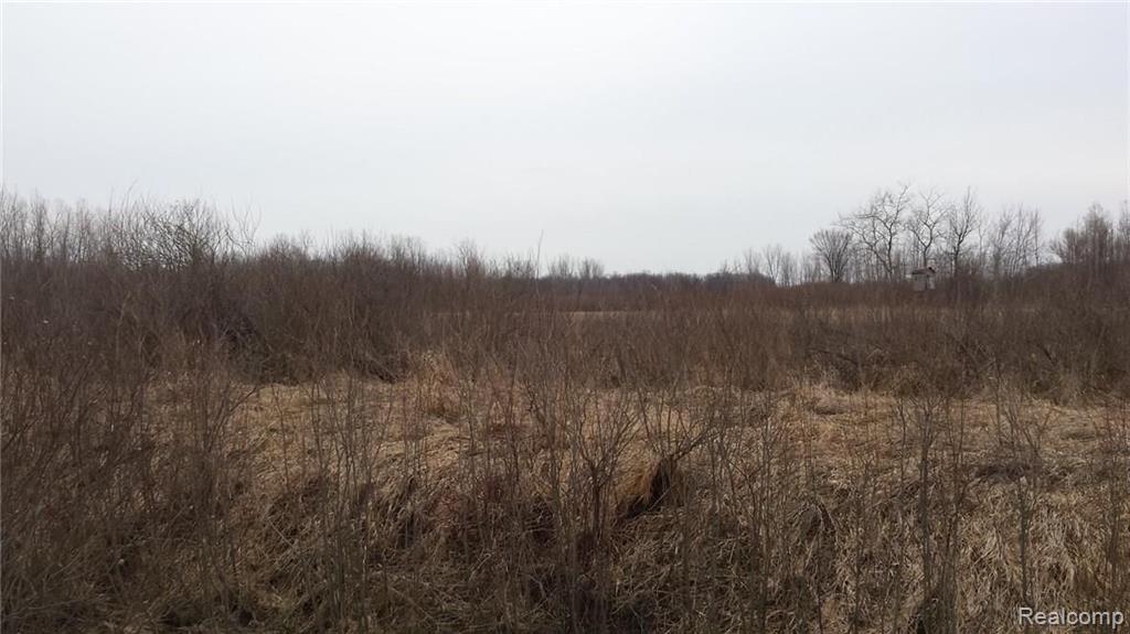 0 Fisher Road Fruitport, MI 49415 - Photo 11 of 11