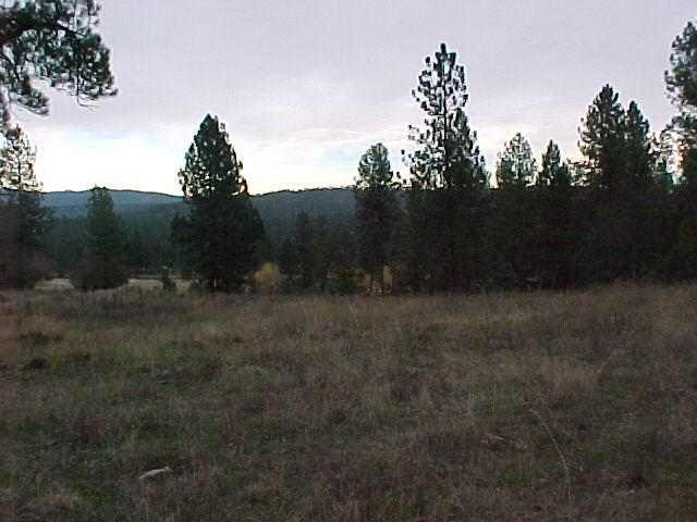 26616 North Thor Road Chattaroy, WA 99003 - Photo 5 of 7