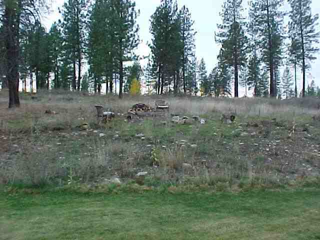 26616 North Thor Road Chattaroy, WA 99003 - Photo 6 of 7