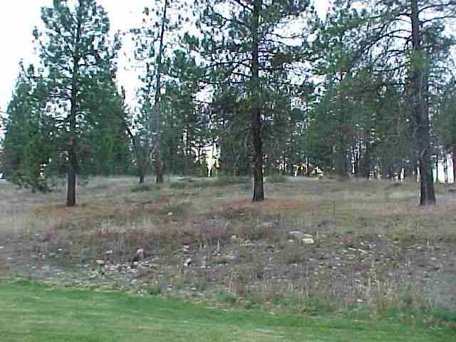 26616 North Thor Road Chattaroy, WA 99003 - Photo 7 of 7