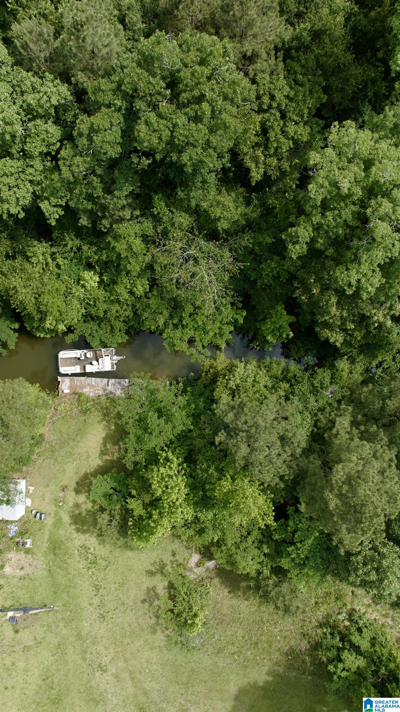 0 Coosa Island Road, Unit 23 AND 24 Cropwell, AL 35054 - Photo 7 of 23