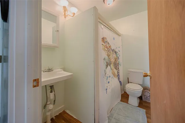 a bathroom with a sink a toilet and shower curtain