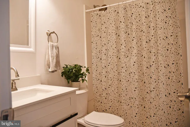 a bathroom with a sink and a toilet