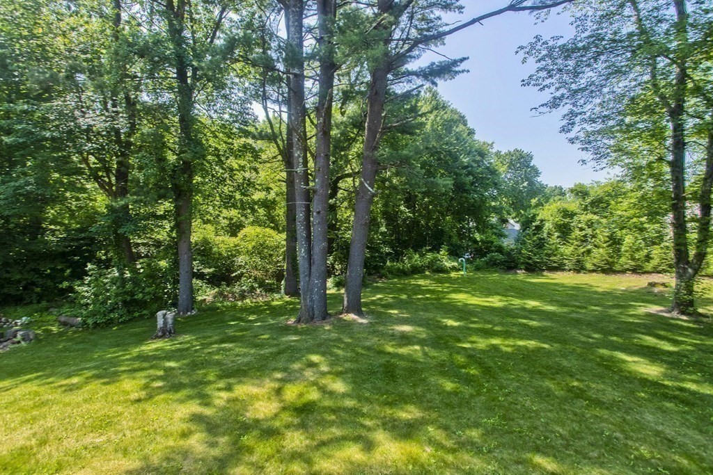 15 Circle Drive Wilbraham, MA 01095 - Photo 39 of 42 a view of lush green forest