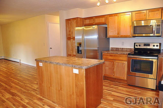 122 Davis Circle Palisade, CO 81526 - Photo 4 of 14