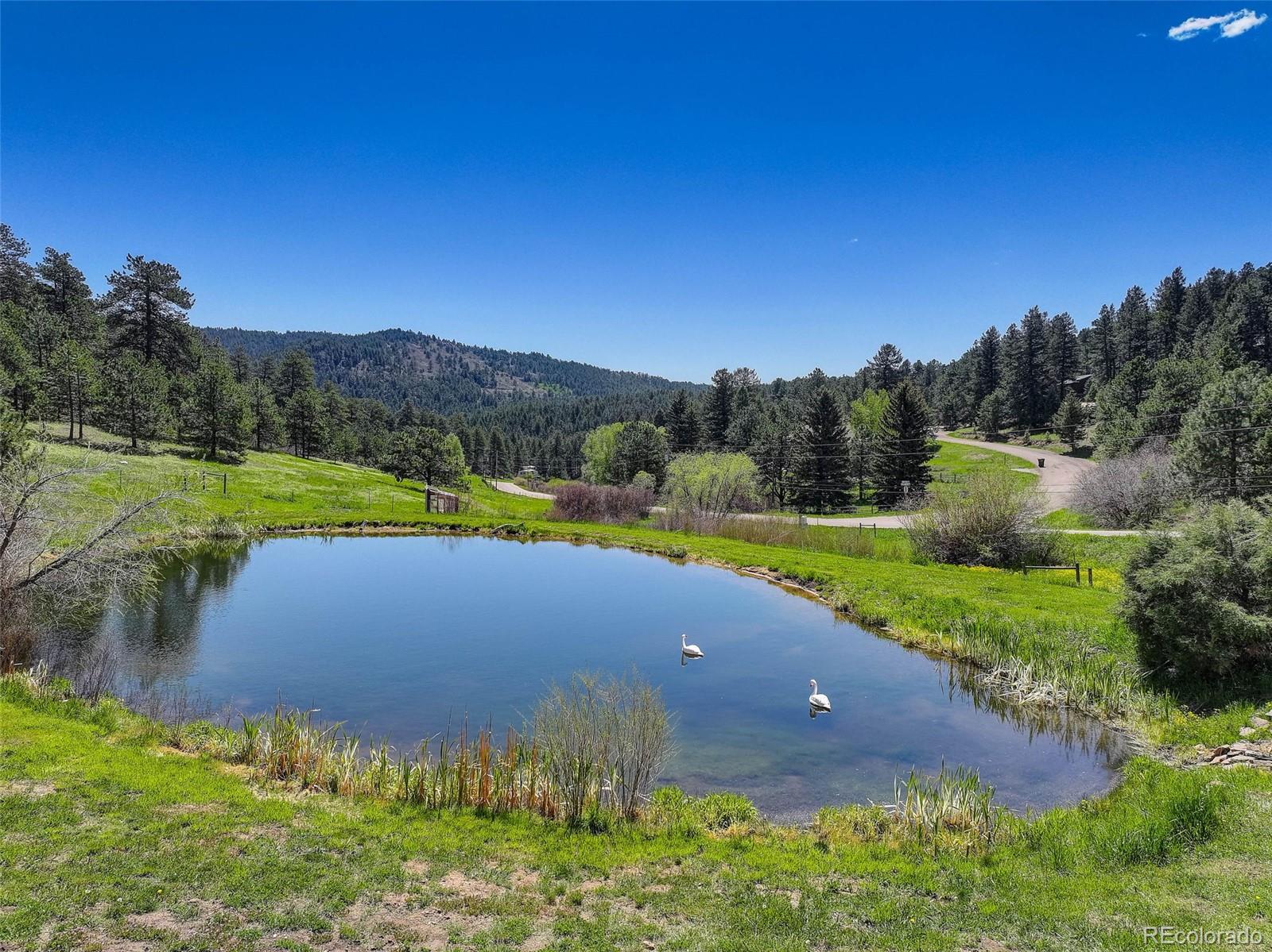20101 Spring Gulch Road Morrison, CO 80465 - Photo 5 of 50