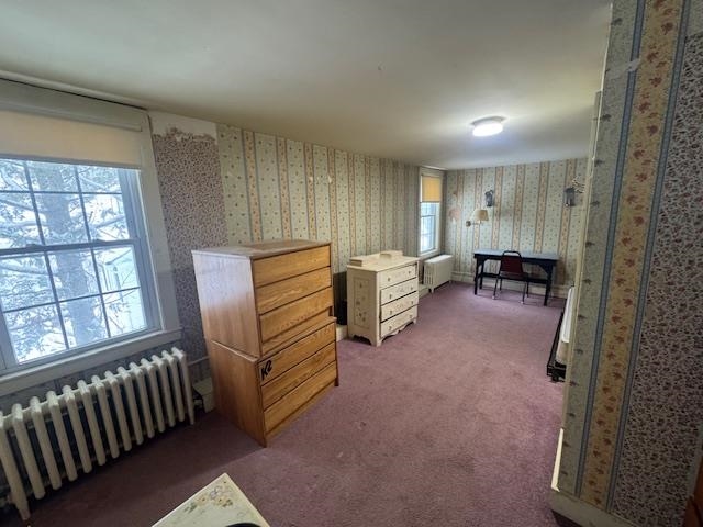 1165 North Craftsbury Road Craftsbury, VT 05827 - Photo 32 of 45 Gallery Image 32