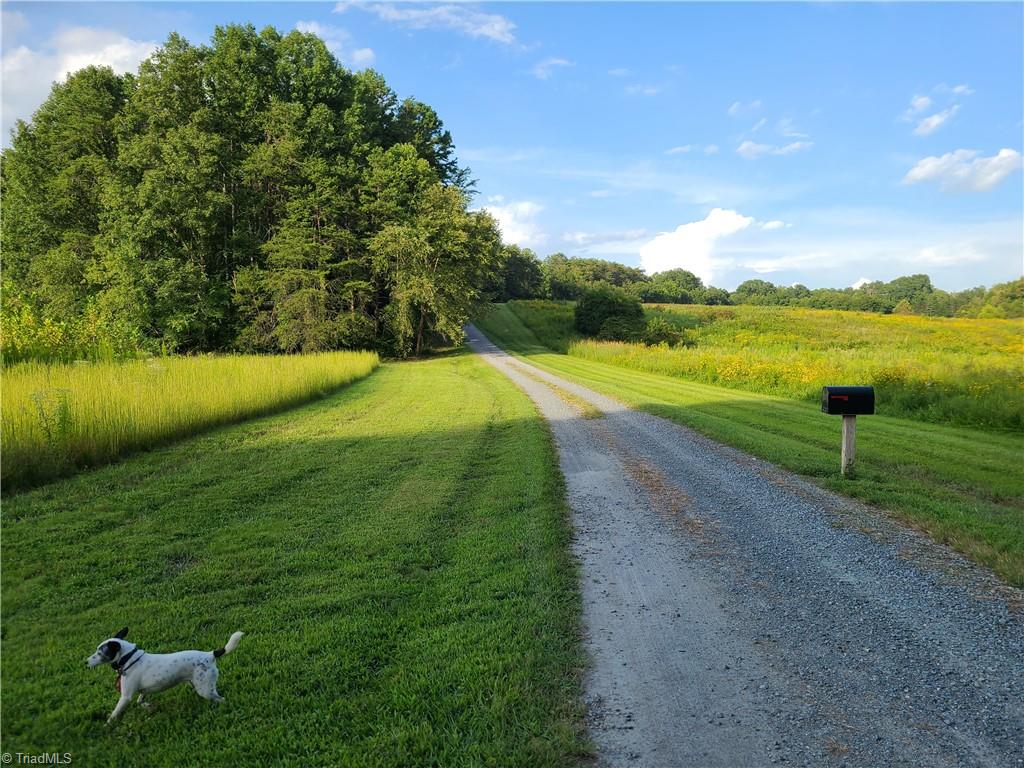 0 Warren Farm Road Walnut Cove, NC 27052 - Photo 14 of 21 Gallery Image 14