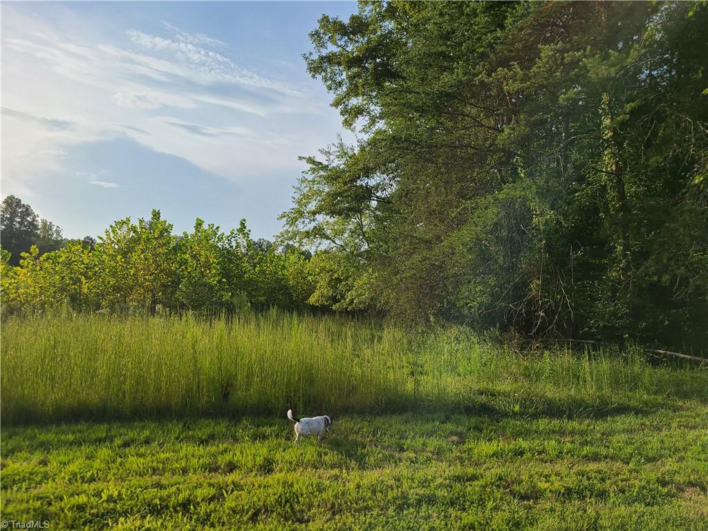 0 Warren Farm Road Walnut Cove, NC 27052 - Photo 9 of 21 Gallery Image 9
